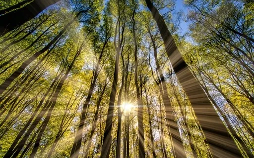 The Surrender Series: Let Go And Let God