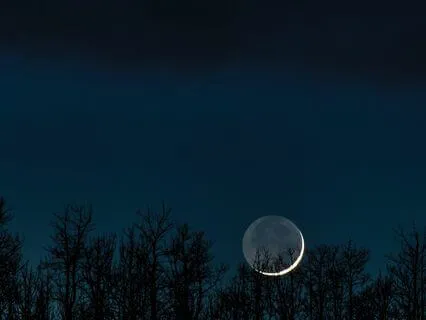 The Sweetest Surrender Into Sleep