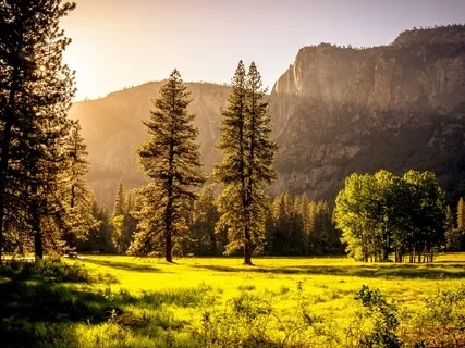 The Sweetness Of Life