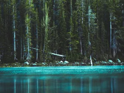 The Sword Meditation: Clearing And Releasing