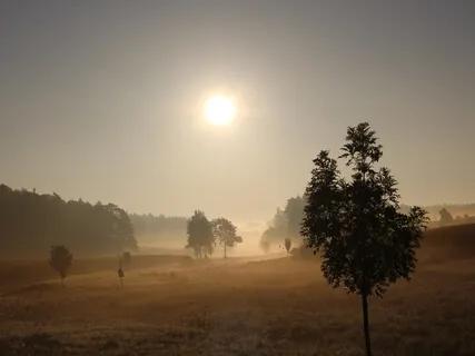 The Symbiosis Of Healing Meditation