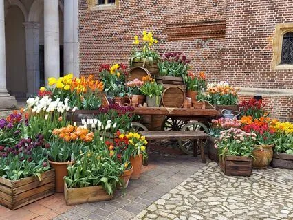 The Tale Of Benjamin Bunny