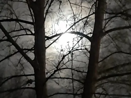 The Tale Of Peter Rabbit