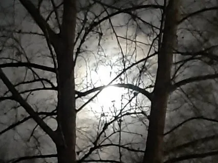 The Tale Of Squirrel Nutkin