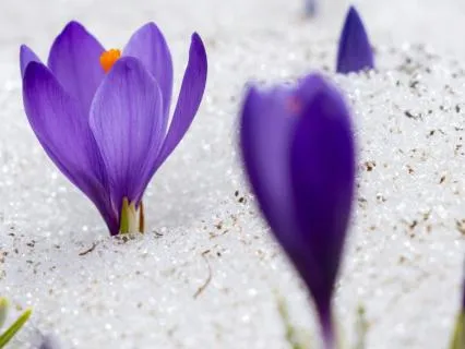 The Tao Of Non-Resistance