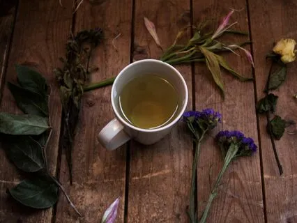 The Tea Fields: A Sleepy Journey