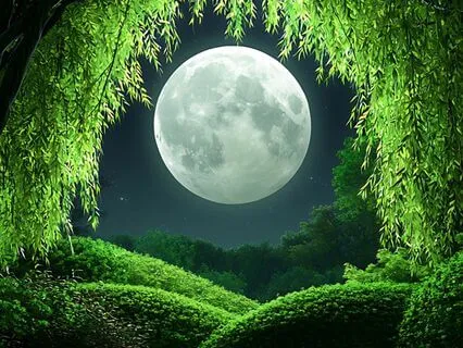 The Temple Beneath The Moon | Sleep Story