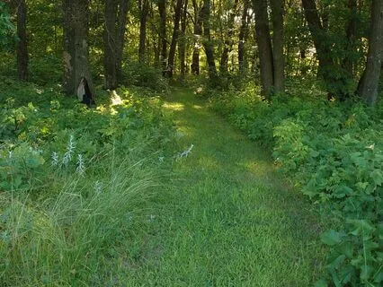 The Ten Ox Herding Pictures Overview