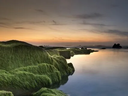 The Third Eye Chakra