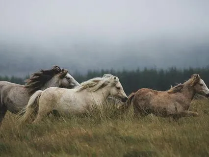 The Three Men Of Power: Evening, Midnight And Sunrise
