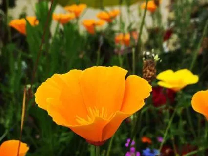 The Three Principles In Life - June 26