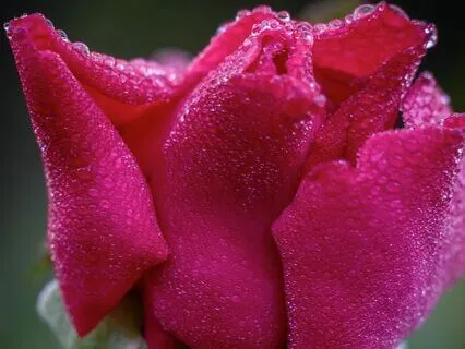 The Threshold Meditation