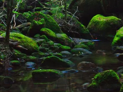 The Threshold Of The New Year