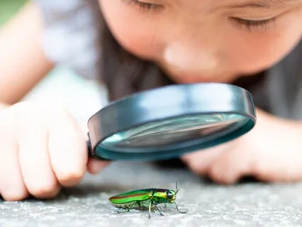 WOW 3/50: The Thrill Of The Unknown