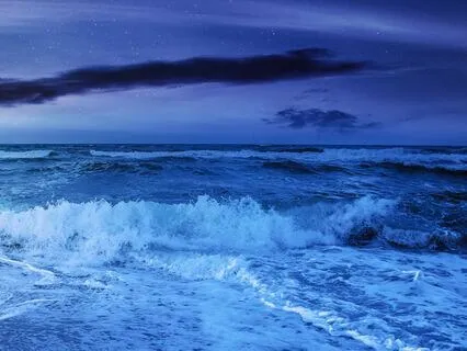 The Tide Within - Water: From The Elements Of You Series