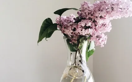 The Time For Newness And Clarity