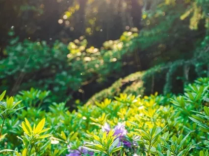 The Time To Feel Better Is Now