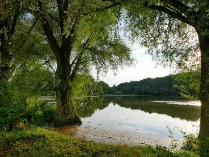 The Timeless Pond Within Us