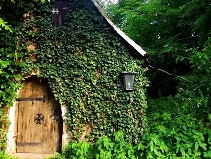 The Tiny Witch In The Woods Bedtime Story