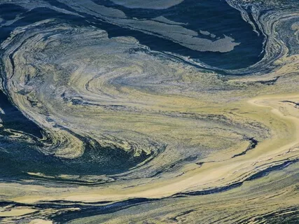 The Tongue Like A Sharp Knife… Kills Without Drawing Blood