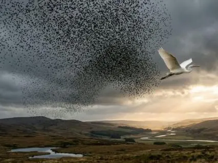 The Trap Of Wanting To Belong