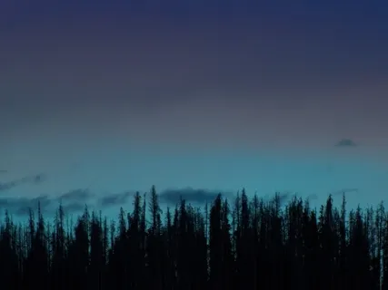 The Tree Folk (Part 1) By Henry Turner Bailey