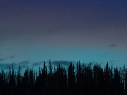 The Tree Folk (Part 2) By Henry Turner Bailey