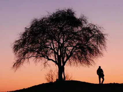 The Tree Of Life: Intro