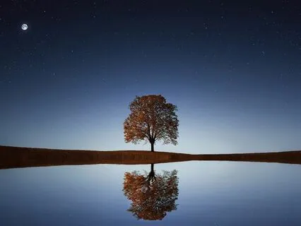 The Tree Of Strength