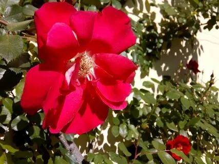 The Trouble Is, You Think You Have Time