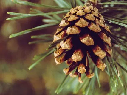 The True Meaning Of Forgiveness - Dec 10