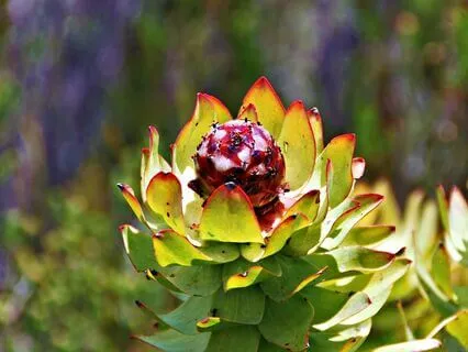 The True Meaning Of Success