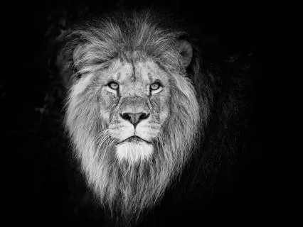 Finding The True Person Of No Rank