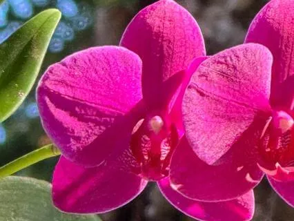 The True Value Of Meditation