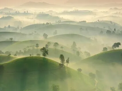 The Truth About Anniversaries