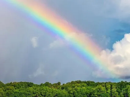 The Truth About Healing Chronic Fatigue No One Told Me