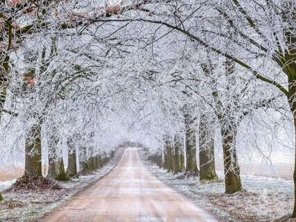 The Truth Emerges : Energy Forecast : December 2024