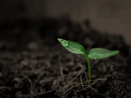 The Truth Is Transformation With Arielle Nóbile