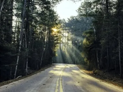 The Truth That Sets Me Free