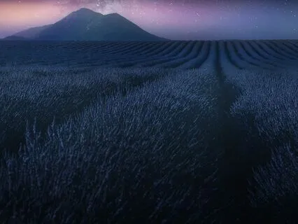 The Twilight Express: Sleepy Train Journey