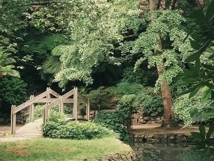 The Two Gardens Technique - Law Of Attraction