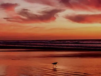 The Ultimate Abundance Manifestation