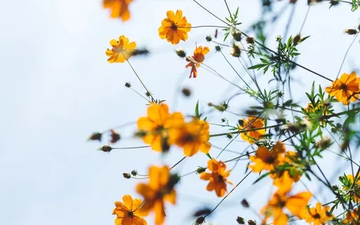 The Ultimate Boundary – Self Care