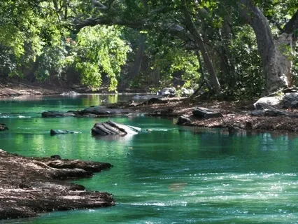 The Ultimate Cleanse Challenge Day 2: Emotional Healing