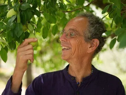 The Ultimate Healer: Zero Friction Meditation