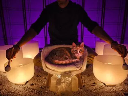 The Ultimate Sleep Trigger