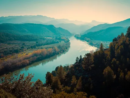 The Ultimate Universal Remedy For Suffering: I AM