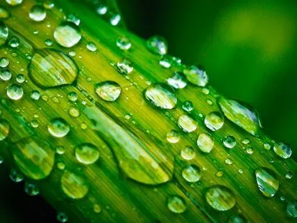 The Umbrella Of Peace And Peaceful Sleep