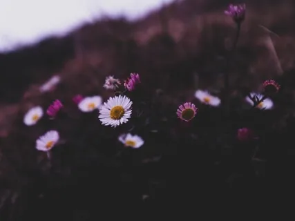  The Unhappiness Of Self-Criticism 