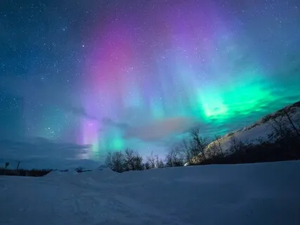 The Unified Field (Nature and Galaxy)